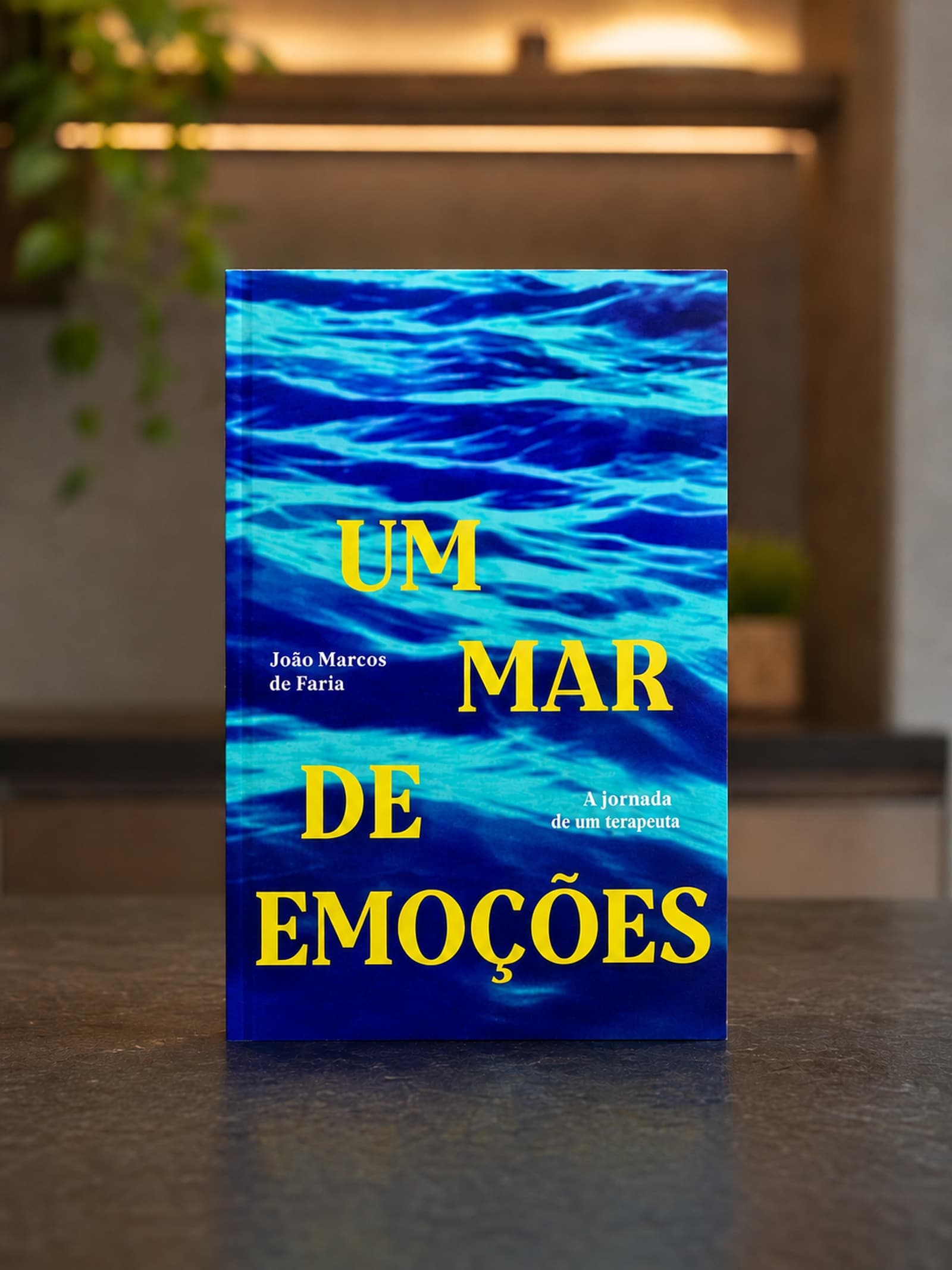 Capa do livro Um Mar de Emoções, de João Marcos de Faria